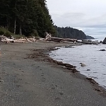 Kevin standing on a beach in Victoria, BC, Canada